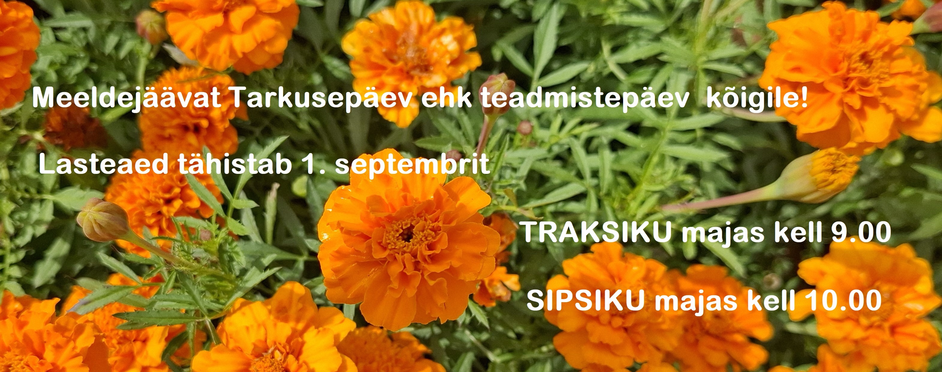 teadmistepäev